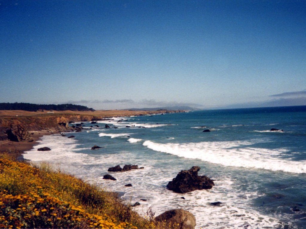 Beach and sea