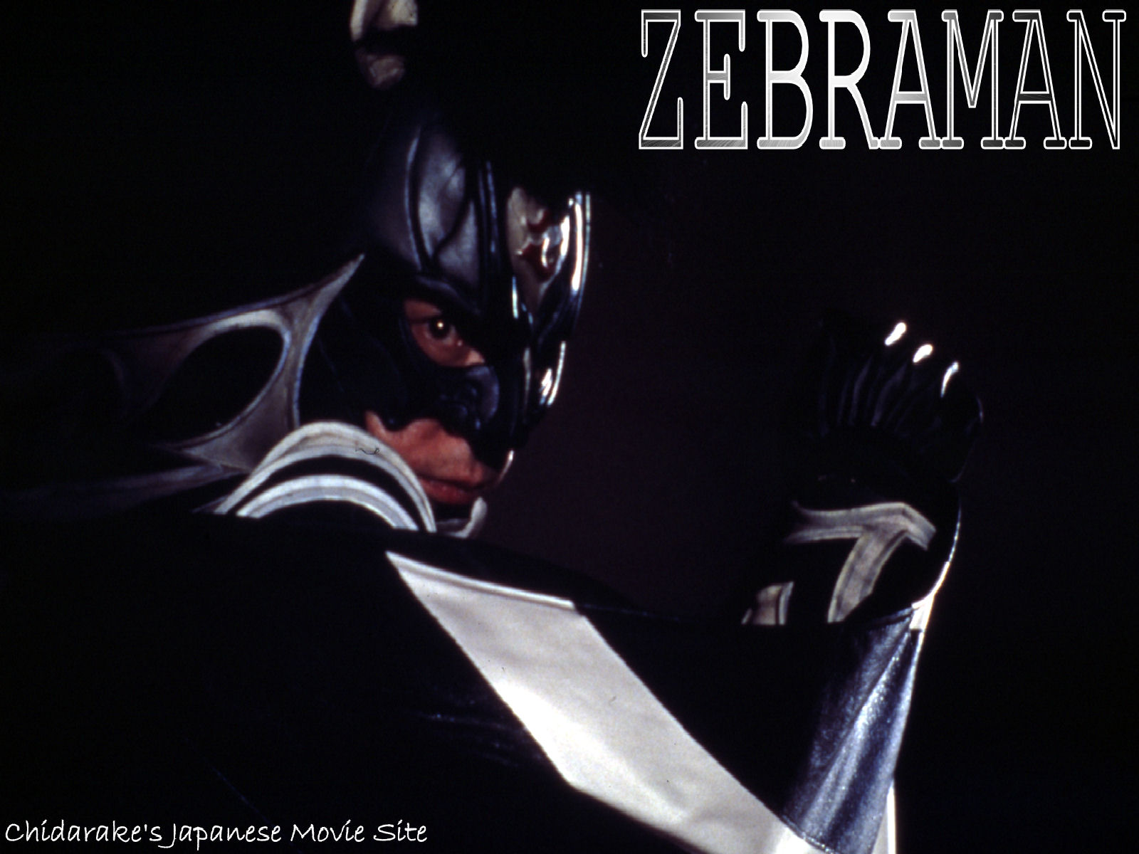 The Zebra Man
